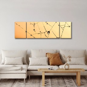 Obraz zroszonej pajęczyny (170x50 cm)