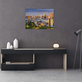 Obraz - Panorama Rotterdamu, Holandia (70x50 cm)