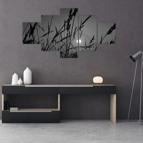 Obraz - Łąka z zachodem słońca (125x70 cm)