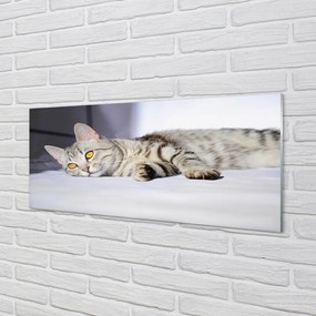 Szkło do Kuchni na Ścianę Leniwe Popołudnie na Kanapie