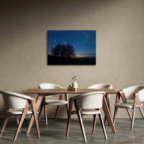 Obraz drzew w nocy (70x50 cm)