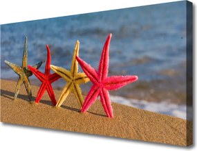 Fotoobraz na płótnie Rozgwiazda na Ciepłym Piasku