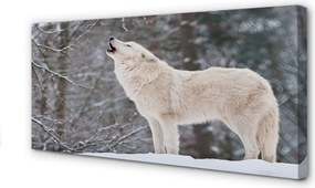 Obraz drukowany na płótnie Wilk w Ośnieżonym Lesie