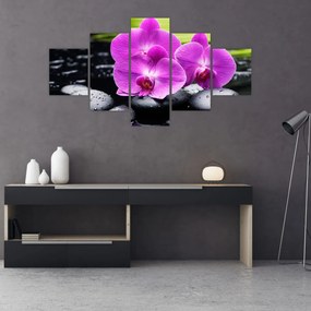 Obraz - Storczyki (125x70 cm)