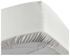 Białe prześcieradło z perkalu bawełnianego z gumką 160x200 cm Percaline – douceur d'intérieur