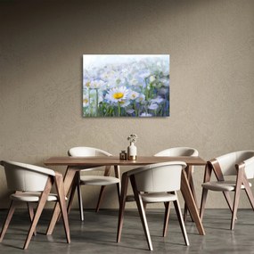 Obraz na szkle - W stokrotkach (70x50 cm)