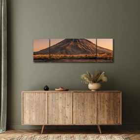 Obraz odbicia góry Taranaki, Nowa Zelandia (170x50 cm)
