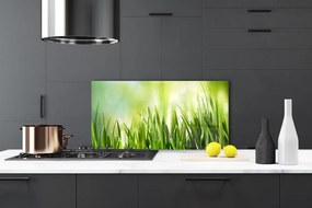 Panel nad blat kuchenny Soczysta Zielona Trawa