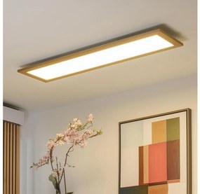 Brilagi - LED Plafon SLIMFRAME WOOD LED/58W/230V 124x34 cm brązowy