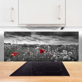 Panel Szklany Sielska Polana Kwiatowa