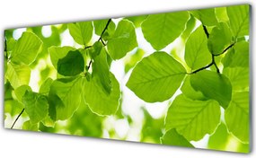 Panel Kuchenny Detal Egzotycznego Liścia