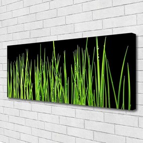 Fotoobraz na płótnie Naturalna Tekstura Trawy