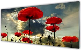 Panel Szklany do Kuchni Czerwone Maki o Poranku