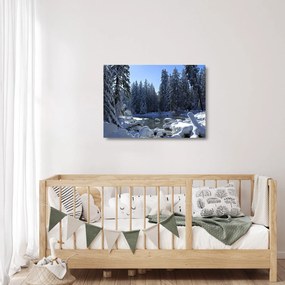 Obraz na szkle - śnieżny las (70x50 cm)