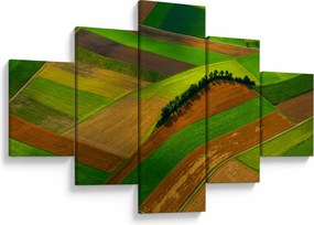 Obraz - Pola, łąki (125x70 cm)