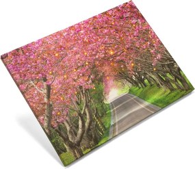 Obraz ścienny przedstawiający kwitnącą aleję drzew, 40 diod