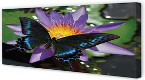Obraz canvas na ścianę Kwiat z Motylem