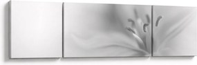 Obraz - Delikatna lilia (170x50 cm)