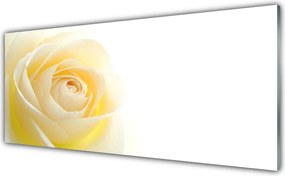 Panel Szklany do Kuchni Szlachetna Róża w Pełni