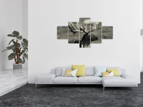 Obraz - Jeleń (125x70 cm)