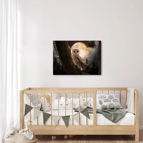 Obraz sowy palonej (70x50 cm)