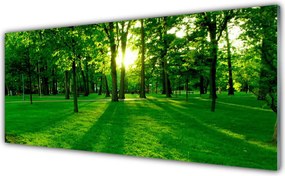 Szkło do Kuchni na Ścianę Parkowe Alejki W Słońcu