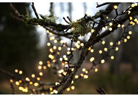 Ogrodowa girlanda świetlna LED Star Trading Berry Mini, dł. 14 m