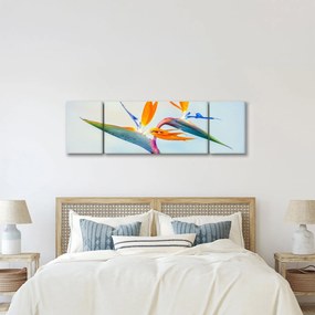 Obraz kwiatu Strelicji (170x50 cm)