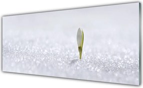 Panel Szklany Pierwsze Tchnienie Wiosny: Przebiśnieg