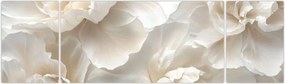 Obraz - Delikatne piwonie (170x50 cm)