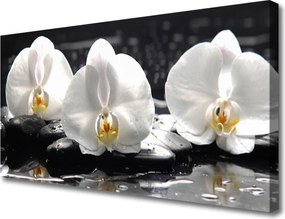 Obraz canvas Subtelny Biały Storczyk