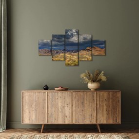 Obraz - kaktusy w przyrodzie (125x70 cm)