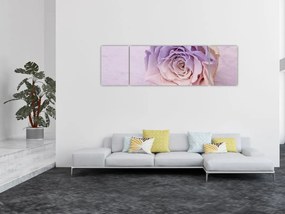 Obraz szczegółu kwiatu róży (170x50 cm)