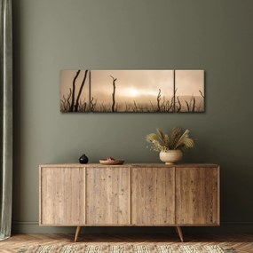Obraz - Nagie drzewa (170x50 cm)