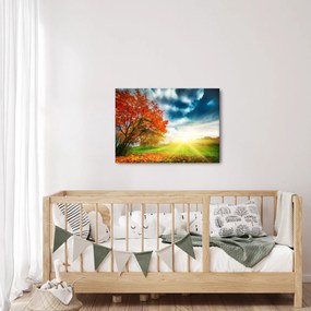 Obraz skąpanego w słońcu krajobrazu (70x50 cm)