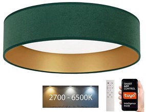 Brilagi - LED Oświetlenie ściemnialne VELVET SMART LED/24W/230V Wi-Fi Tuya + pilot