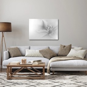 Obraz - Delikatna lilia (70x50 cm)