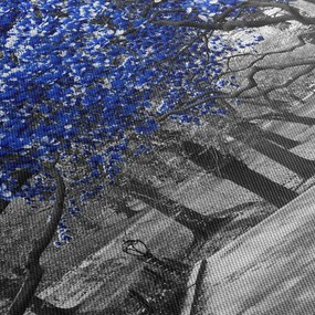 Obraz - Niebieskie drzewa, Central Park, New York (125x70 cm)