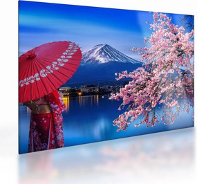 Obraz na szkle - Widok na szczyt, Japonia (70x50 cm)