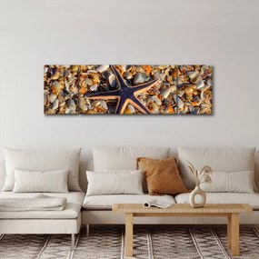 Obraz rozgwiazdy (170x50 cm)