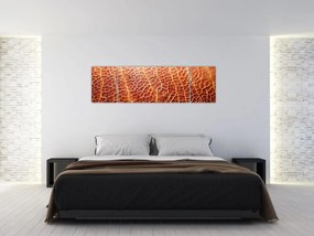 Obraz - Szczegóły tekstury (170x50 cm)