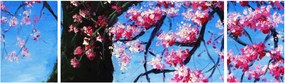 Obraz malowanego kwiatu wiśni (170x50 cm)