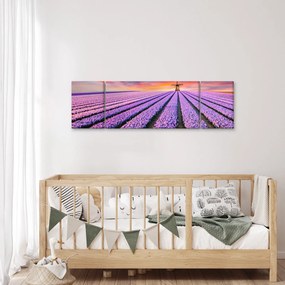 Obraz - farma kwiatów (170x50 cm)
