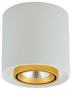 LED Oświetlenie punktowe XENO LED/15W/230V biały 1200lm