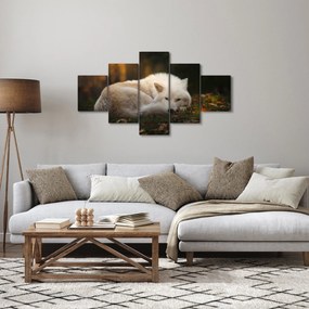 Obraz - Odpoczywający wilk (125x70 cm)