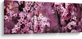 Obraz - Różowa sakura (z zegarem) (90x30 cm)