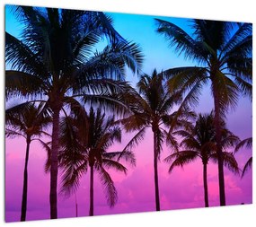 Obraz - Palmy w Miami (70x50 cm)