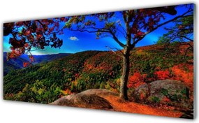 Panel Kuchenny Szczyty Gór W Gęstym Lesie