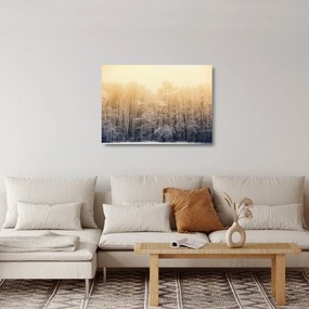 Obraz na szkle mroźnego lasu (70x50 cm)