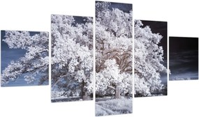 Obraz - Śnieżnobiałe drzewo (125x70 cm)